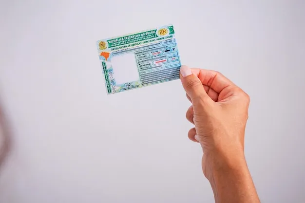 Offizieller Führerschein aus Paraguay.