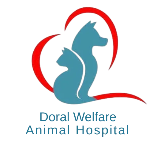 Doral Welfare Animal Hospital Logo