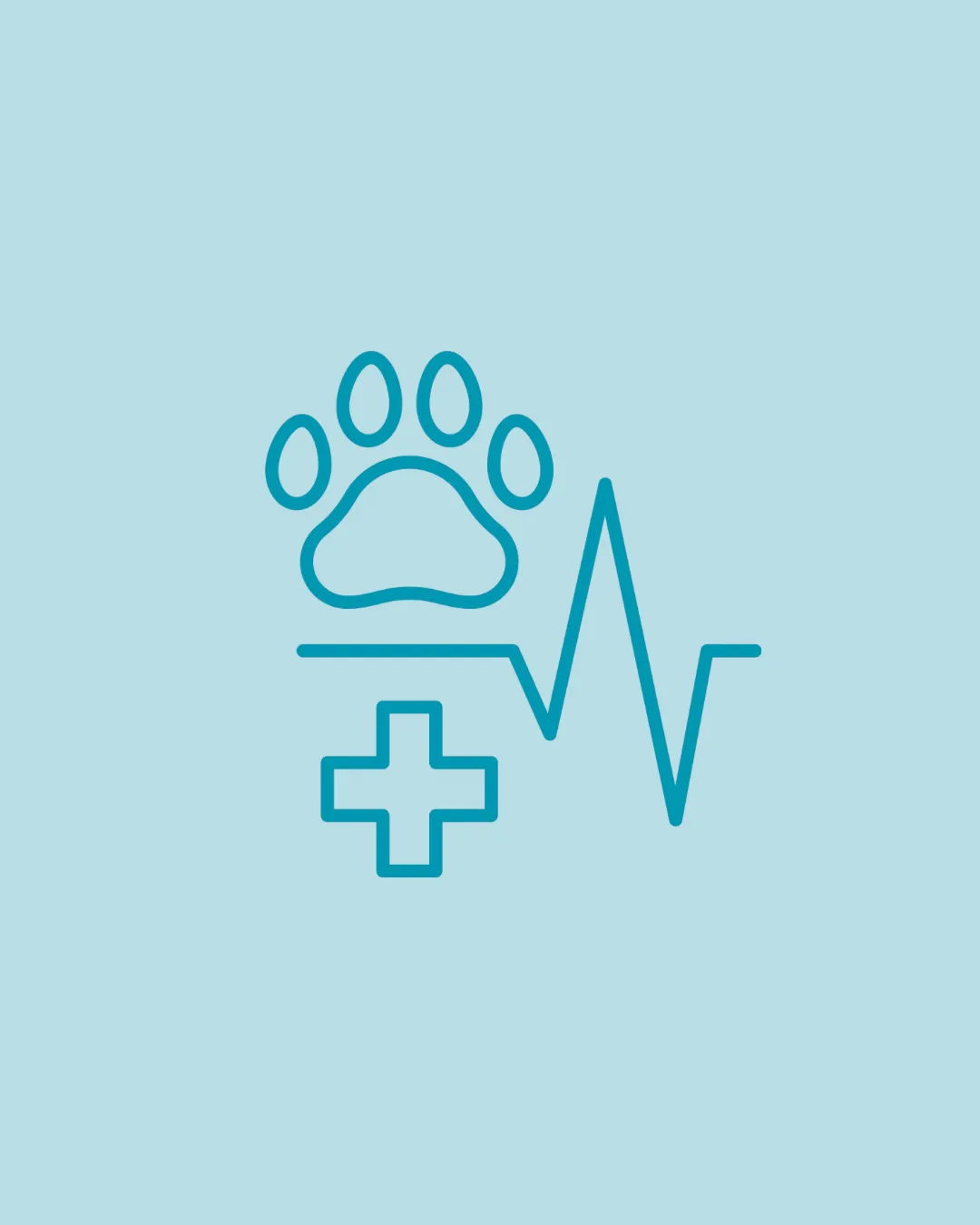 Annual Checkups & Booster Vaccines