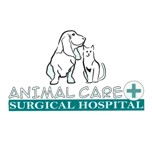 Animal Care & Surgical Hospital Logo - Hand-drawn dog and cat silhouettes above 'Animal Care Surgical Hospital' text with a medical cross icon.
