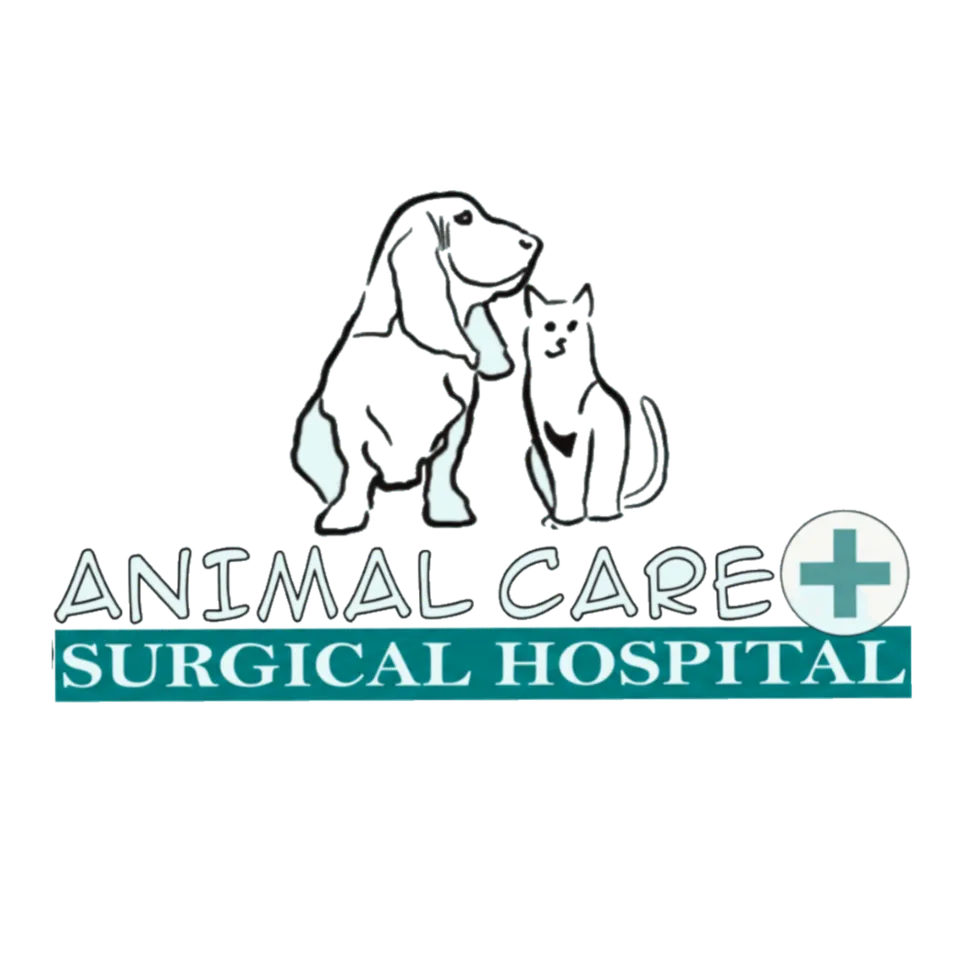Animal Care & Surgical Hospital Logo - Hand-drawn dog and cat silhouettes above 'Animal Care Surgical Hospital' text with a medical cross icon.