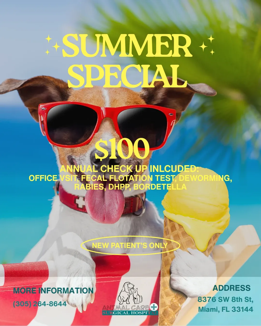 $100 Summer Special for New Patients