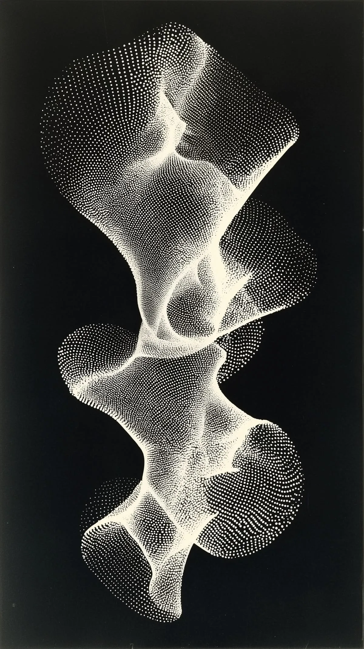 Abstract white dot-pattern wave form on a black background.