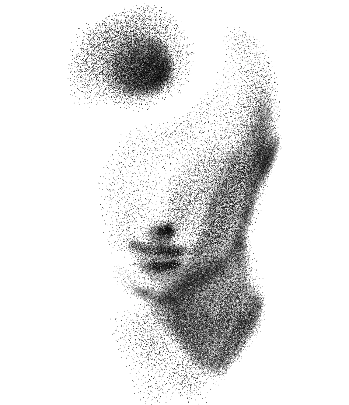 Minimalist stippled portrait of a face created with black dots on a white background.
