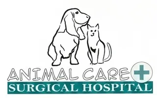 ACSH Miami Logo Design