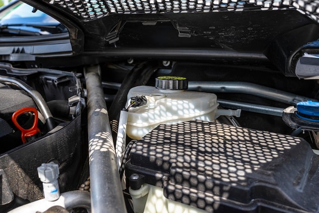 Clean engine compartment after professional detailing.