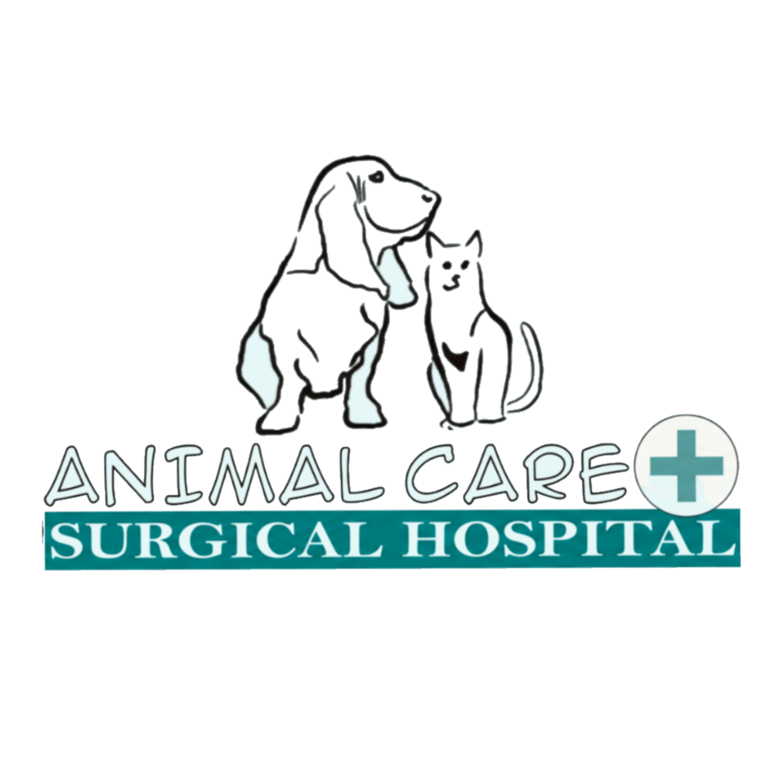 Animal Care & Surgical Hospital Logo - Hand-drawn dog and cat silhouettes above 'Animal Care Surgical Hospital' text with a medical cross icon.