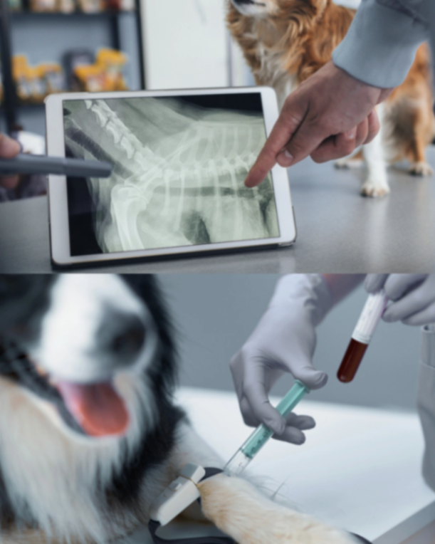 In house diagnostics/ Out lab diagnostics